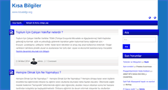 Desktop Screenshot of kisabilgi.org